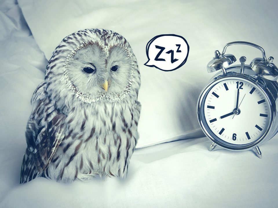 Joogastuudio Tallinnas - Joogatunnid, meditatsioon, kundalini jooga