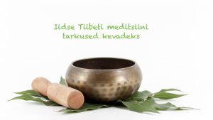 tiibeti meditsiini tarkus